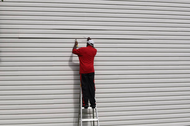 Best Siding Maintenance  in Ridgely, TN